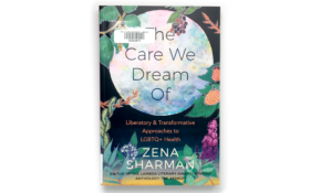 Carewedreamof website