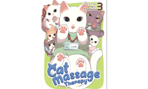 Cat massage therapy 3