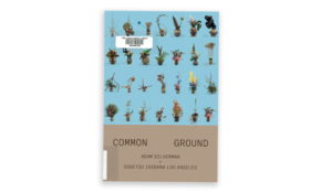 Common ground