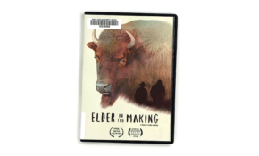 Elderinthemaking