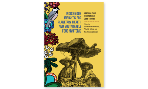 Indigenous insights planetary