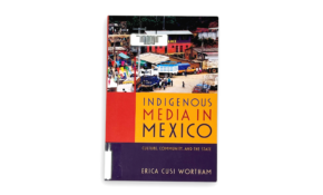 Indigenous media in mexico