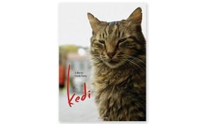 Kedi