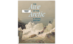 The awe of the artic