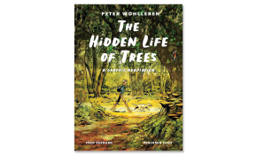 The hidden life of trees graphic novel