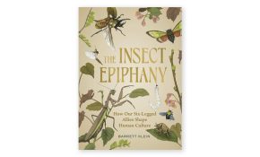 The insect epiphany