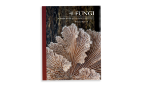 The lives of fungi