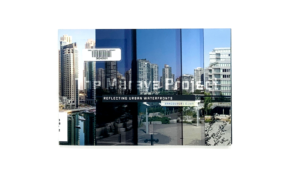 The maraya project