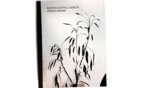 Book cover with photograph of a dying plant in a room corner