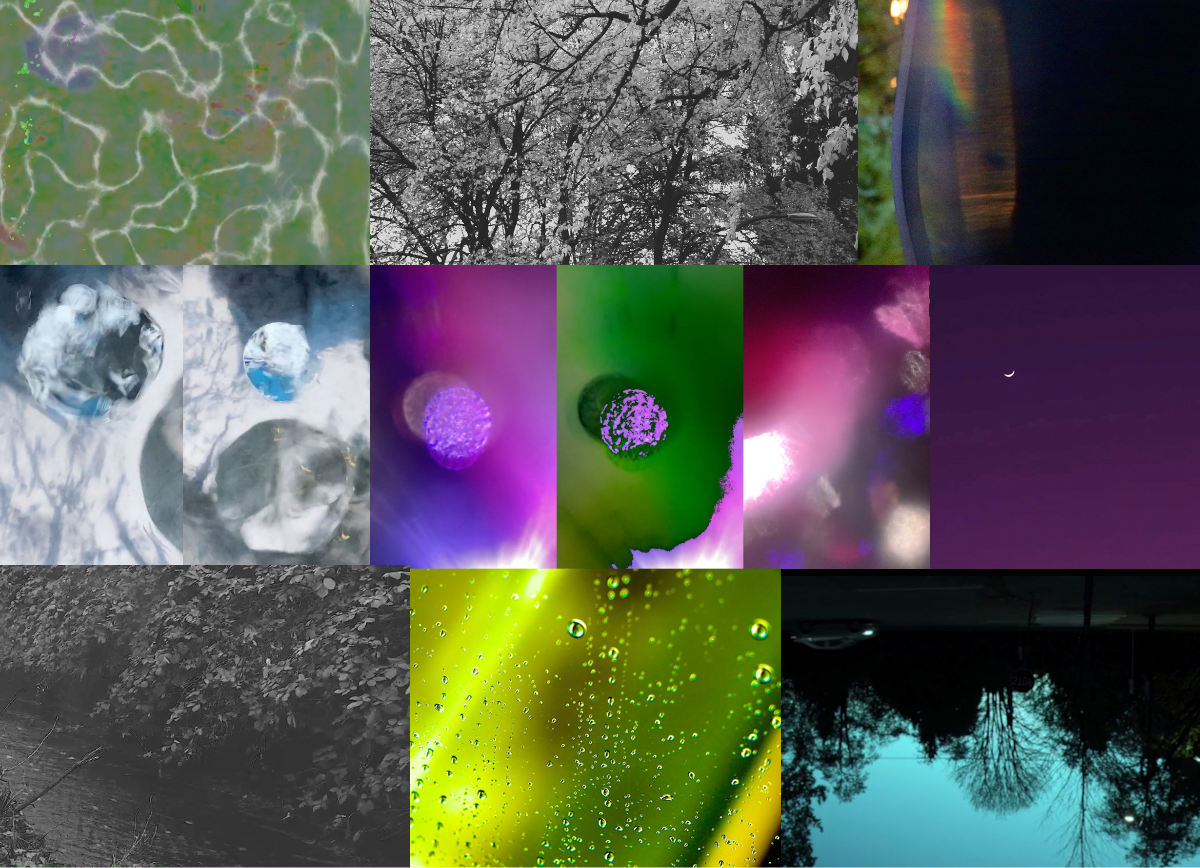 EE collage