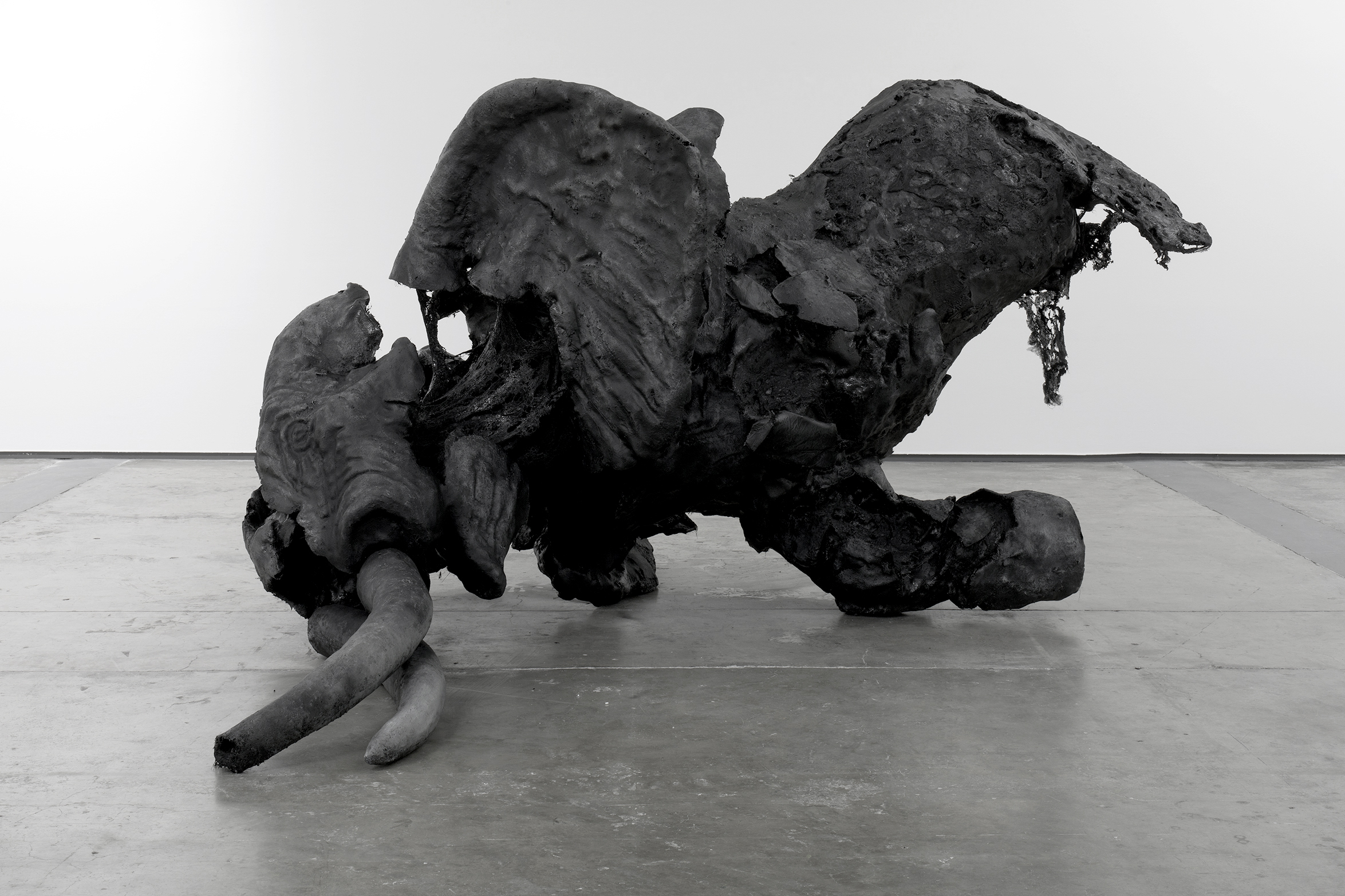 Elephant Installation view