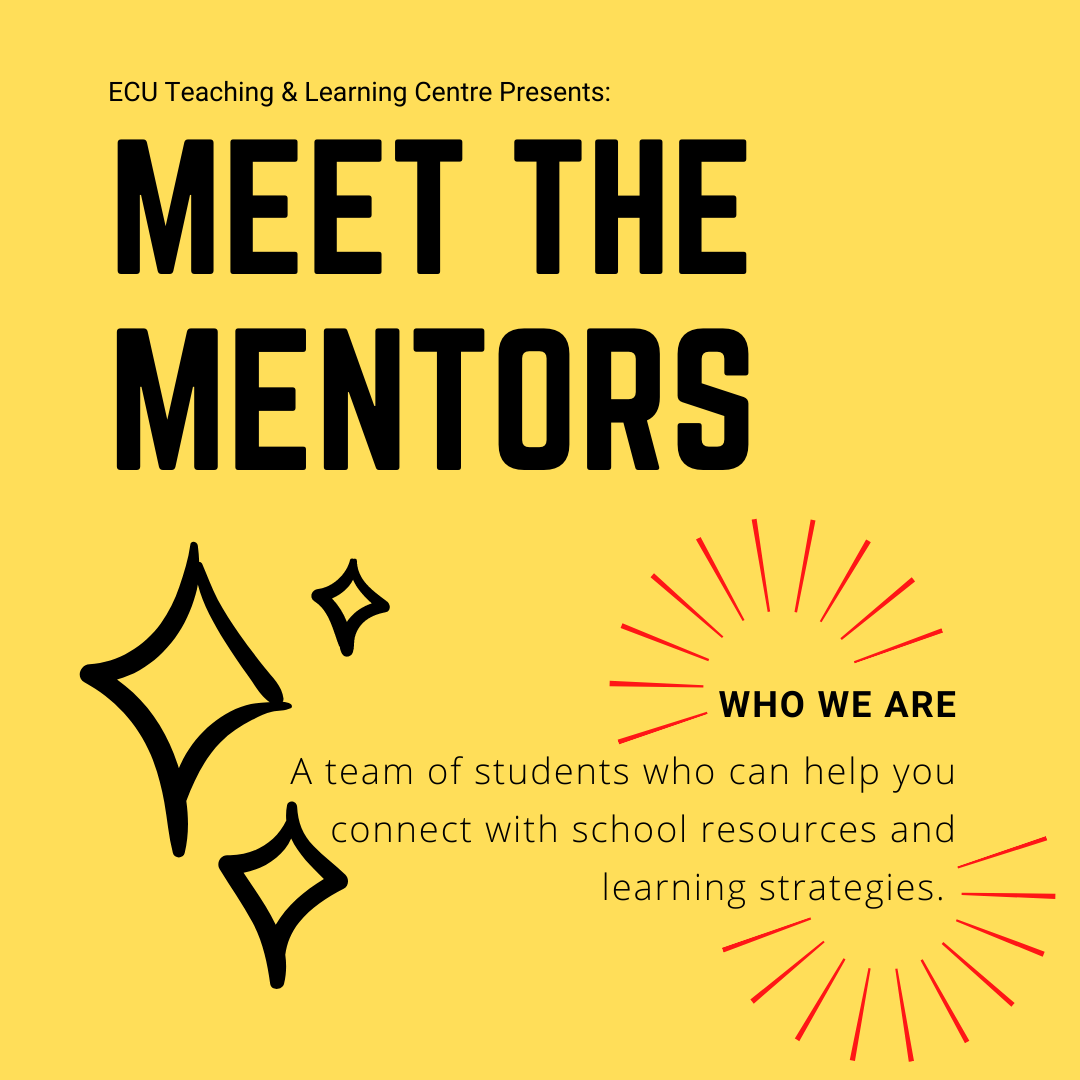 IG Meet the Mentors