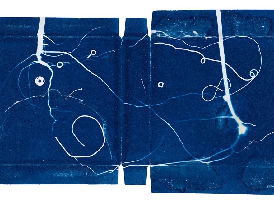 Roy Arden Proximal Detail