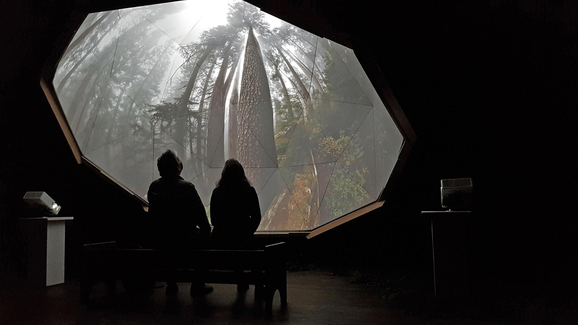 Signals Exhibitions 1