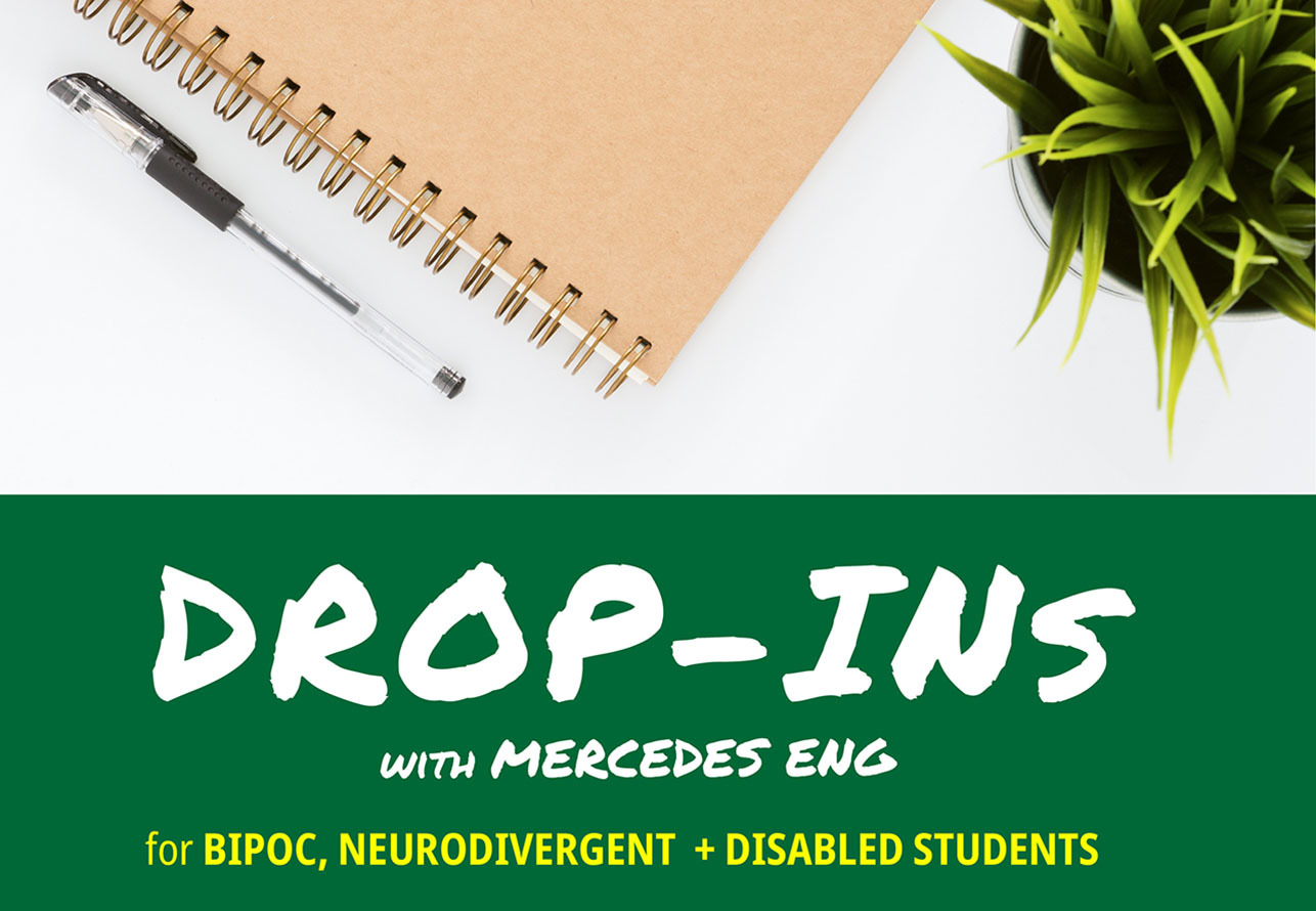 WEB Drop ins Mercedes 01