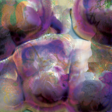03 Globule