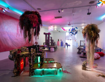 CAVERNOUS Kwak and Mutant Salon LACE Install Shots 4web 37 900x700