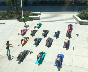 Ecu Yoga