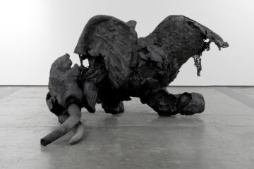 Elephant Installation view