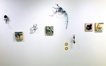 IMG 4702