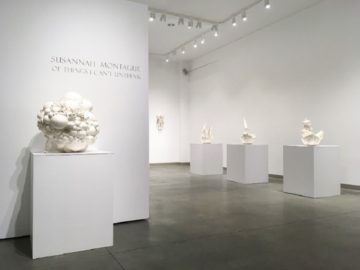Susannah Montague