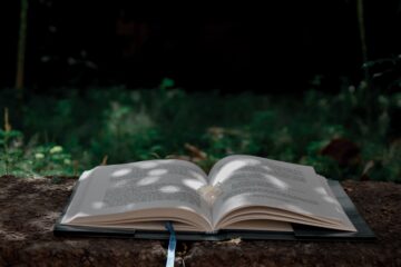 Richa sharma u8m5 J Yq W0 Zg unsplash