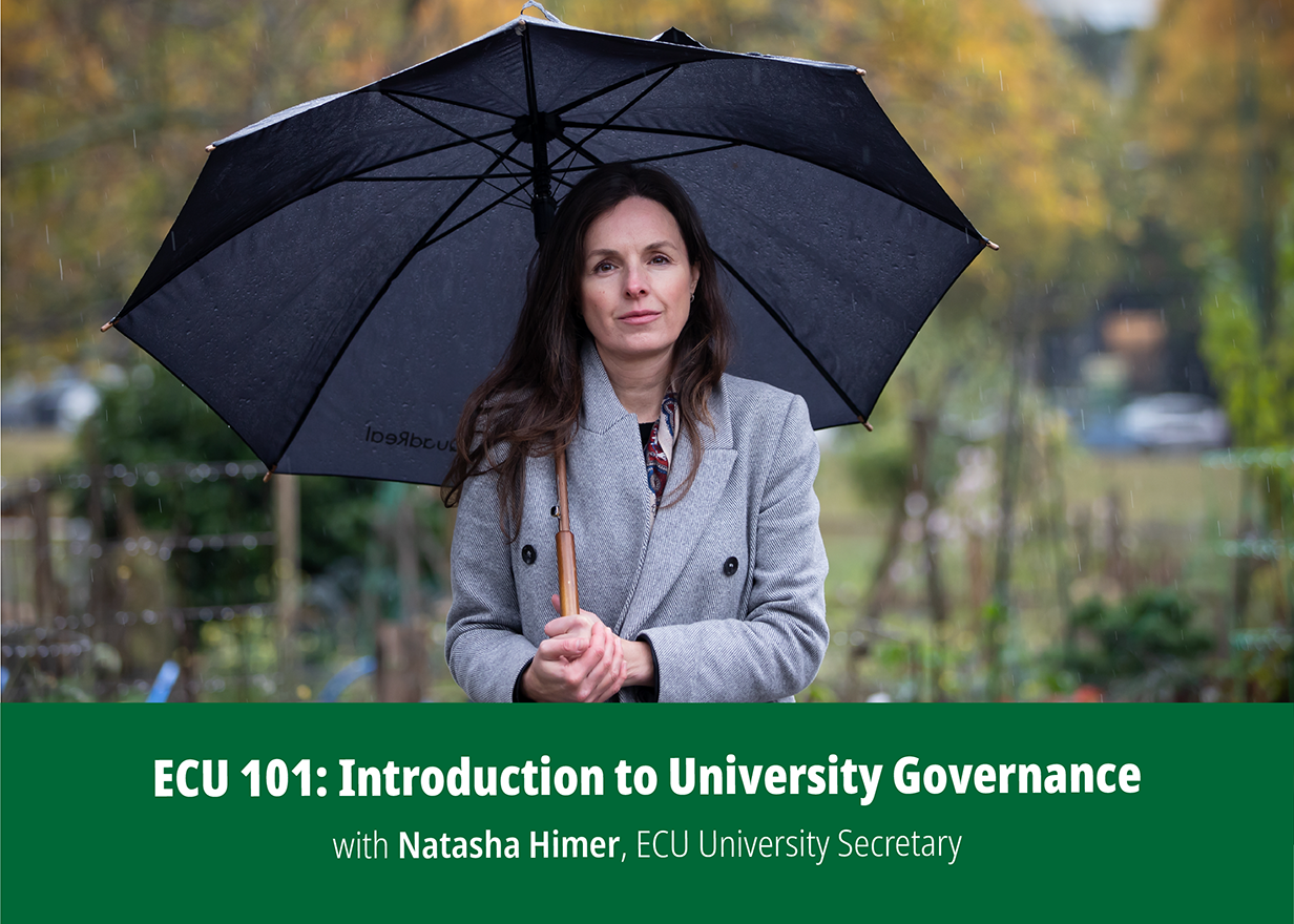 Ecu 101 oct 2023