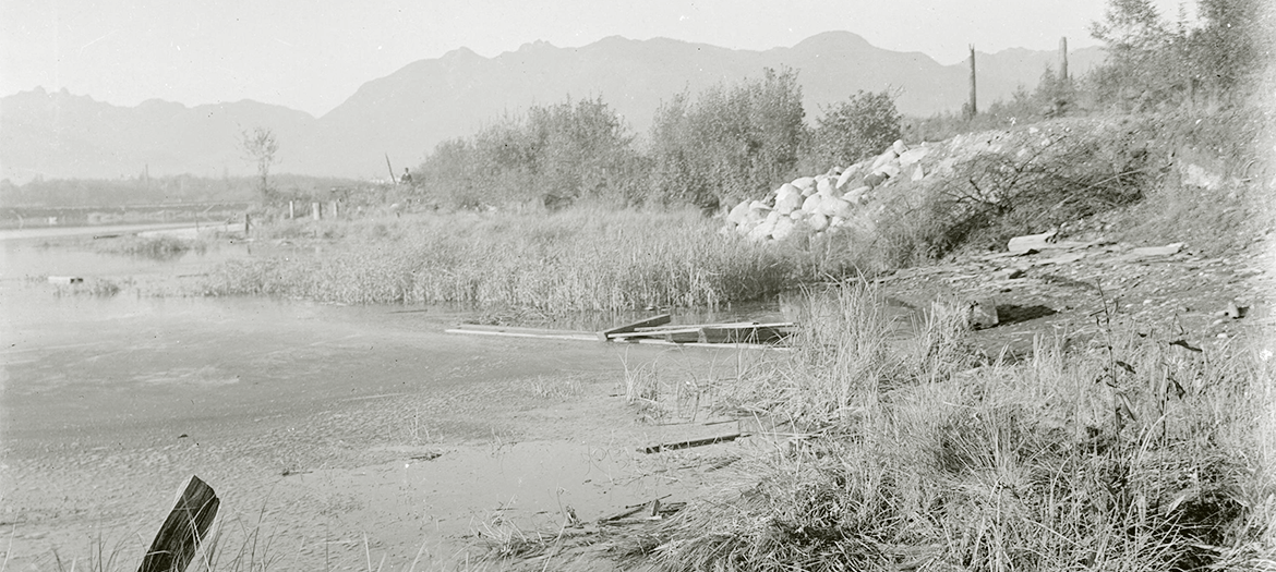 Falsecreek DESIS Website Banner