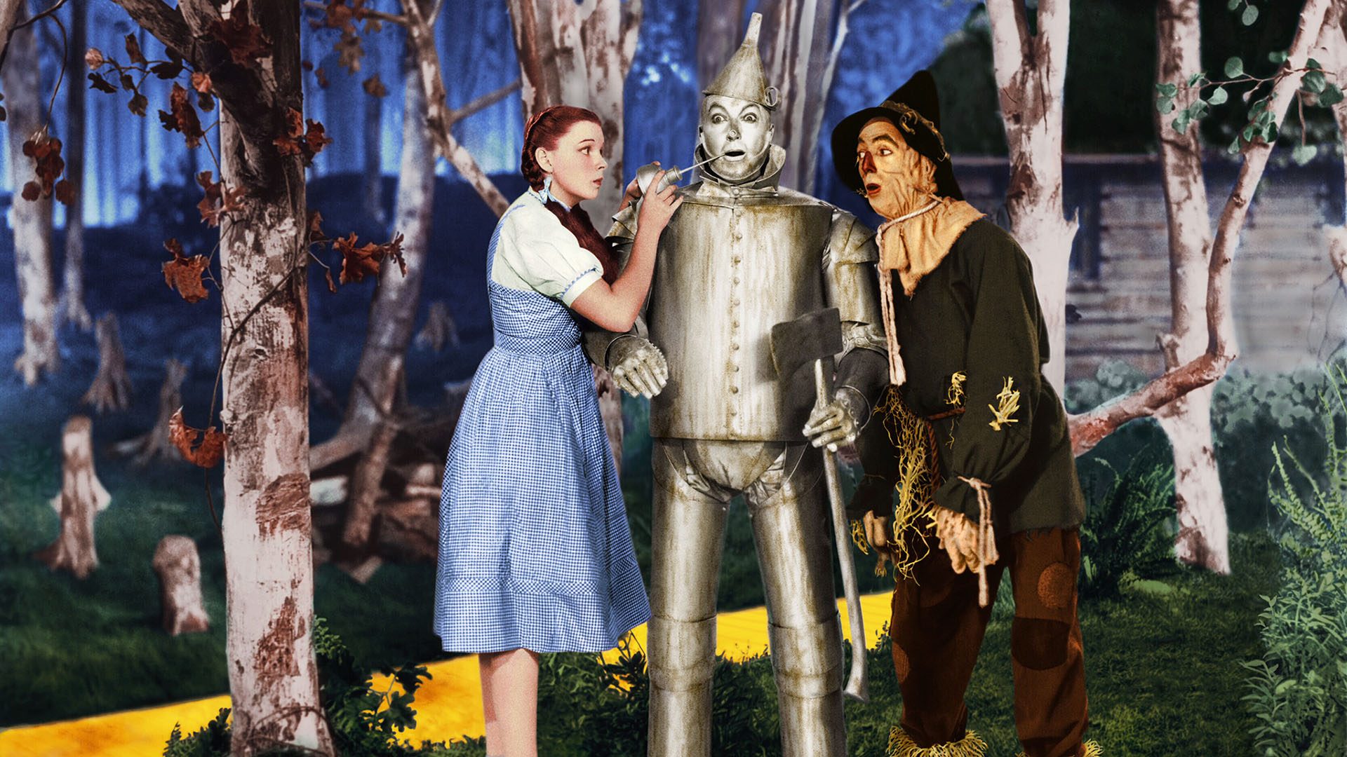 Wizard of oz fr 1748533406