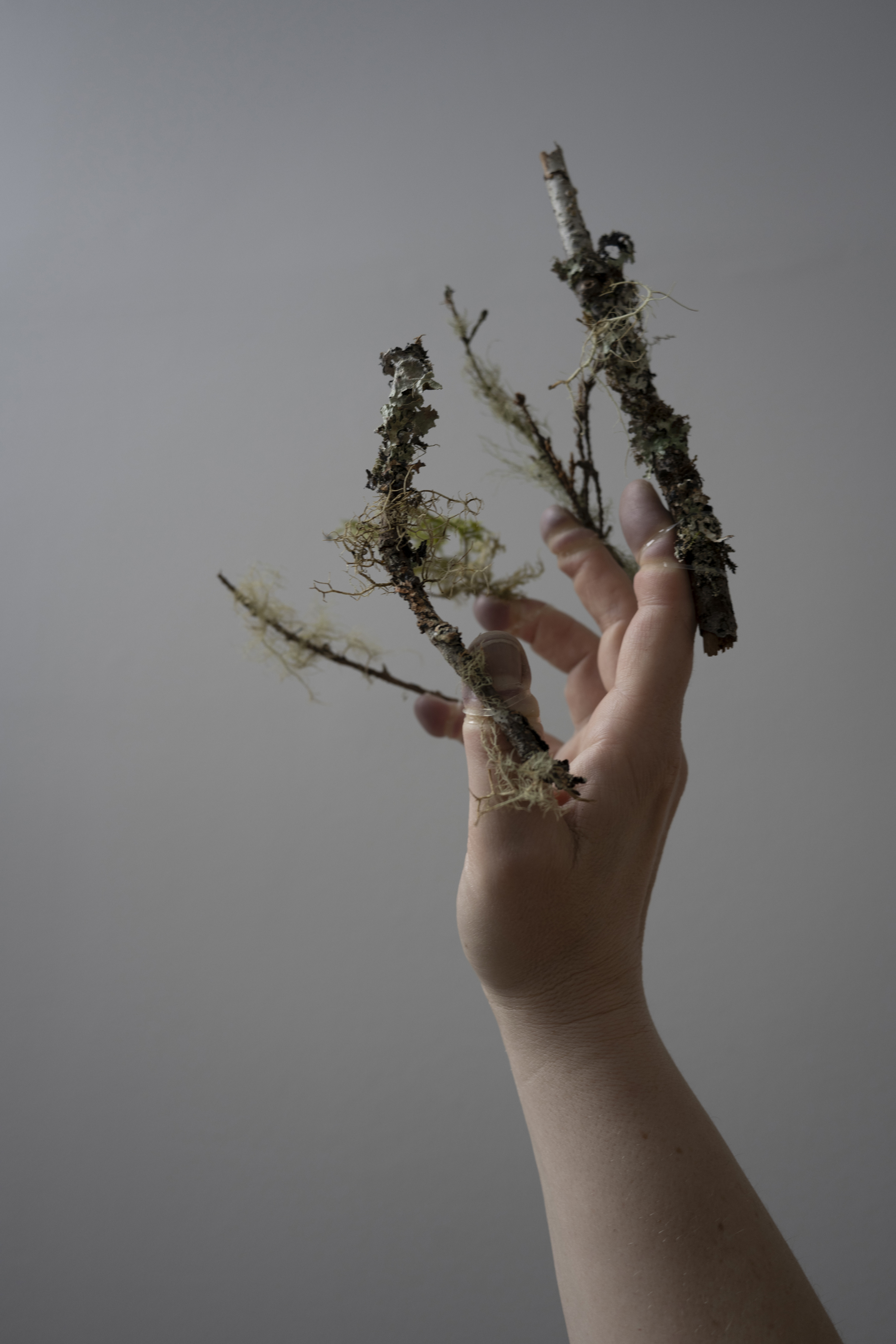 A person's hand in side view with plants coming out from the fingers