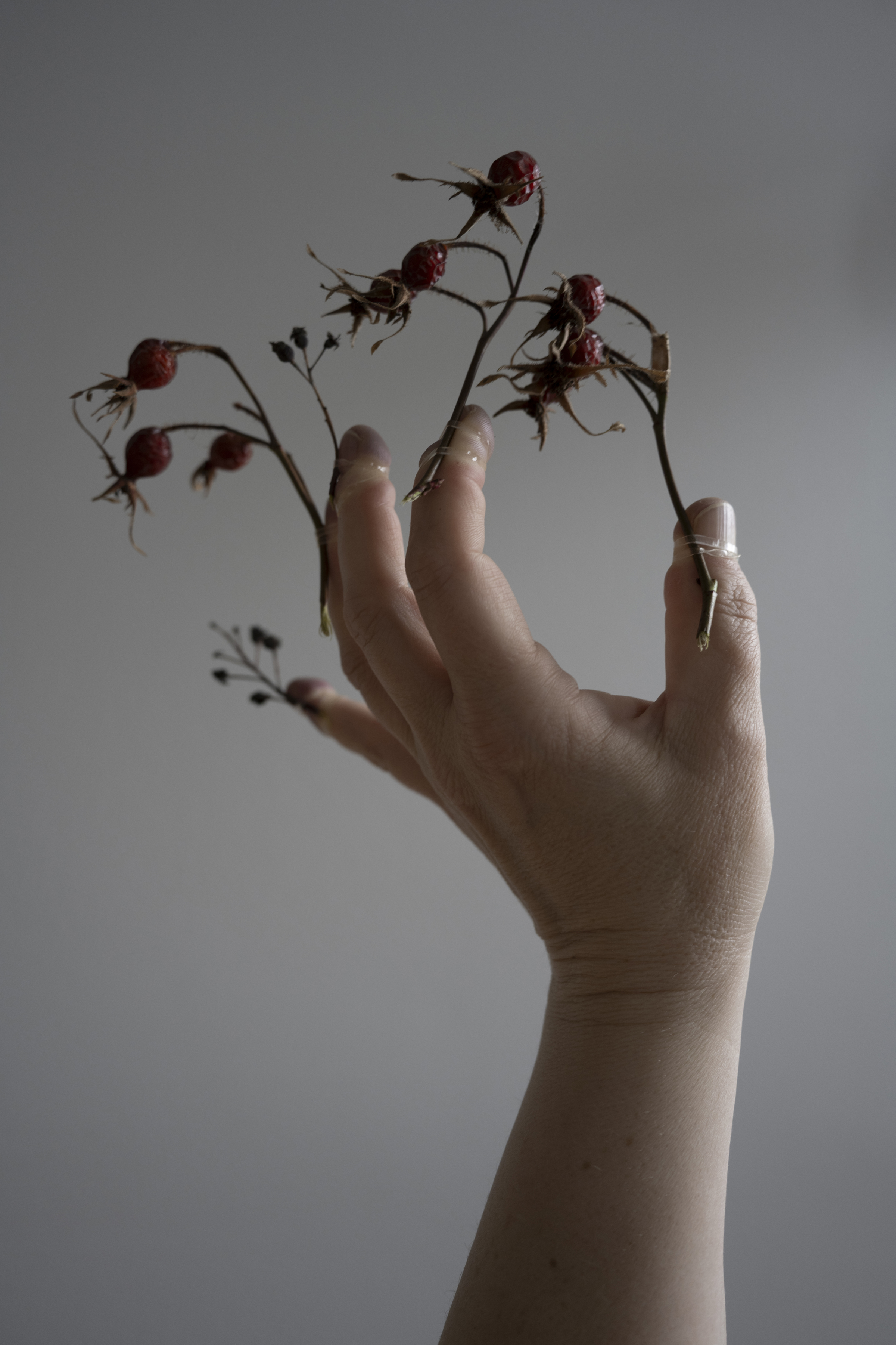 A person's hand in a claw pose with plants growing from the fingers