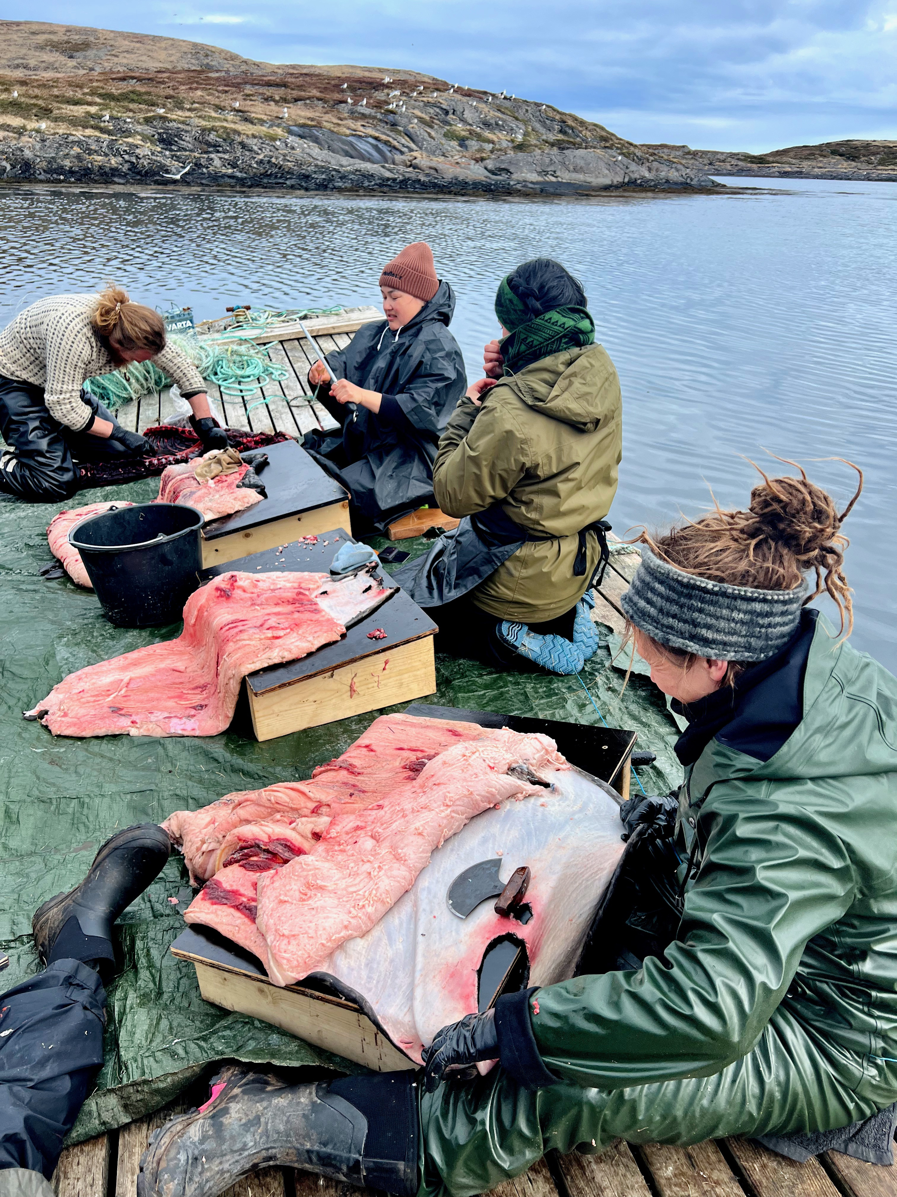 Four people at a dock in front of a seal skin hides they're scraping
