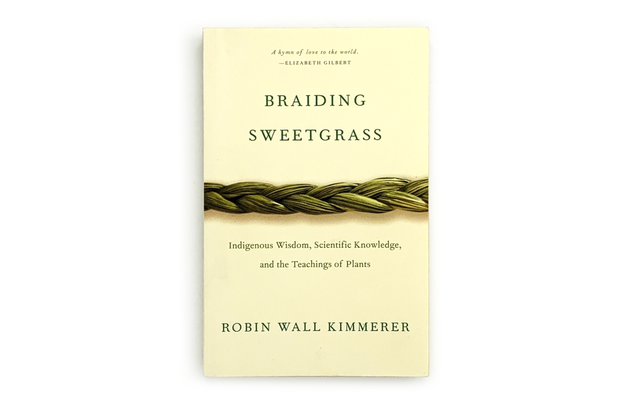 Braidingsweetgrass