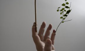 A person's hand outstretched with plants coming out of the fingers