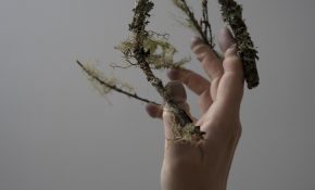 A person's hand in side view with plants coming out from the fingers