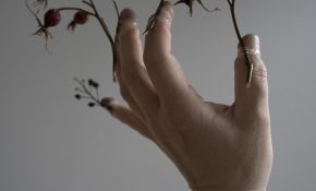 A person's hand in a claw pose with plants growing from the fingers