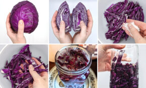 J Van Oyen cabbage