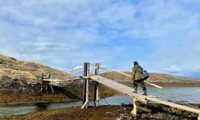 A person in the centre walking across a reedy slatted bridge among the hills