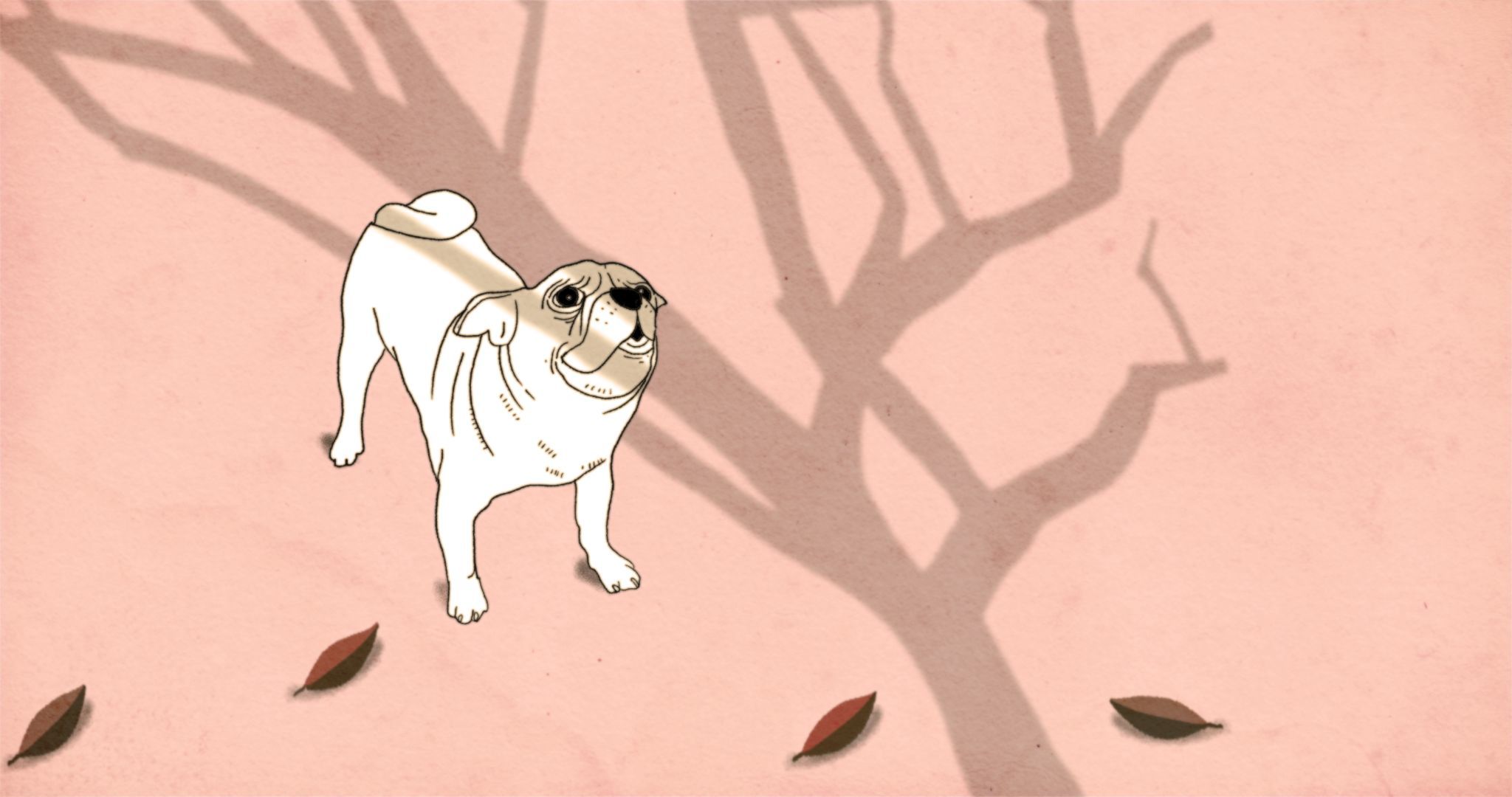 2 1021014 1021013 Old Dog NFB Grab 10002321