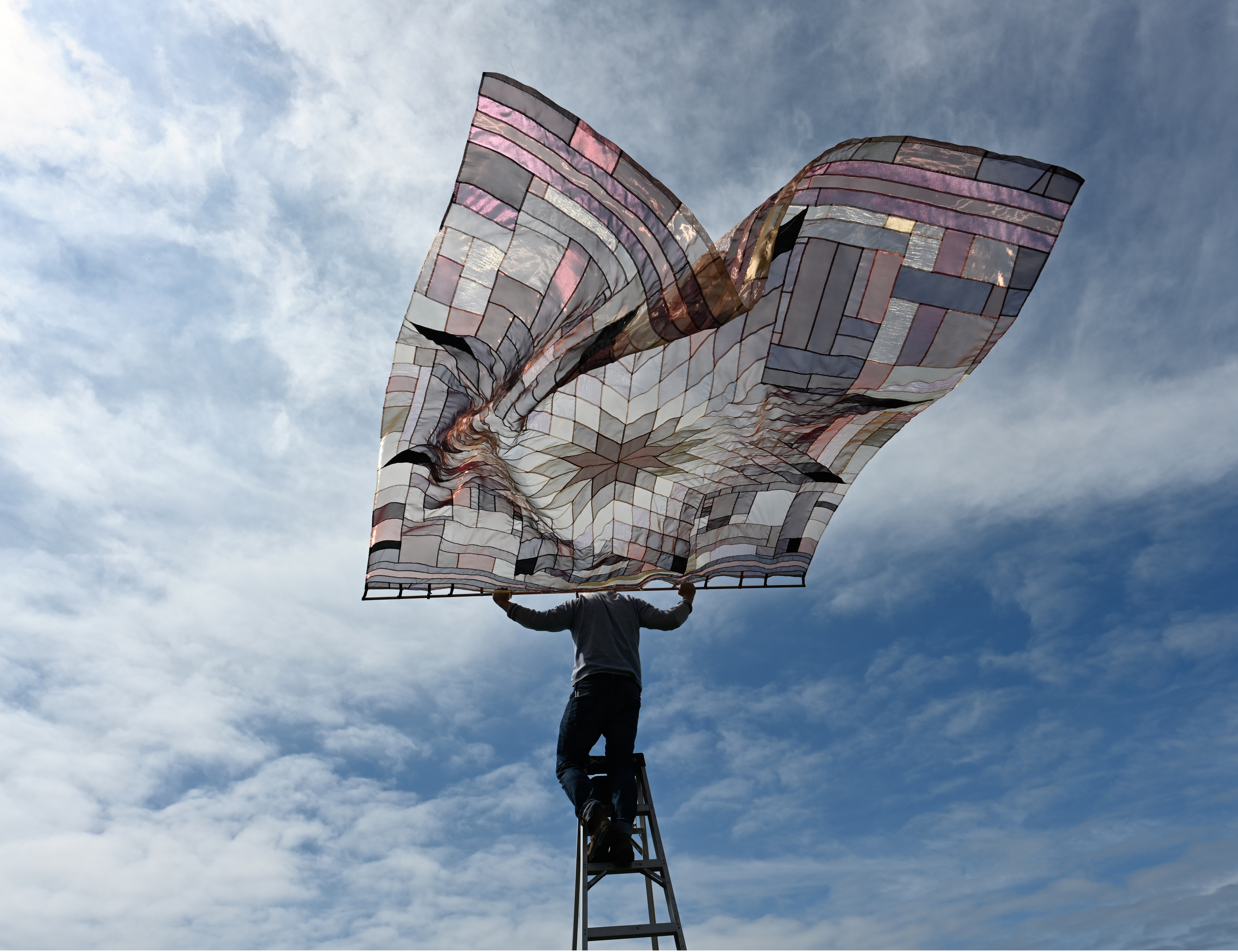 Bison Quilt771