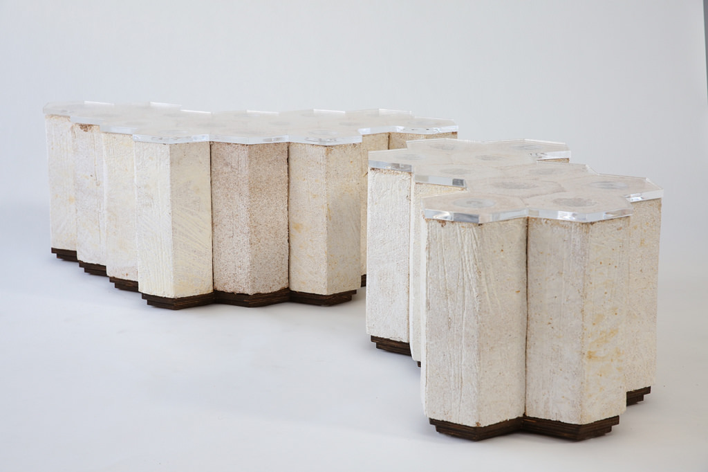 Frid Jimenez Mushroom Bench