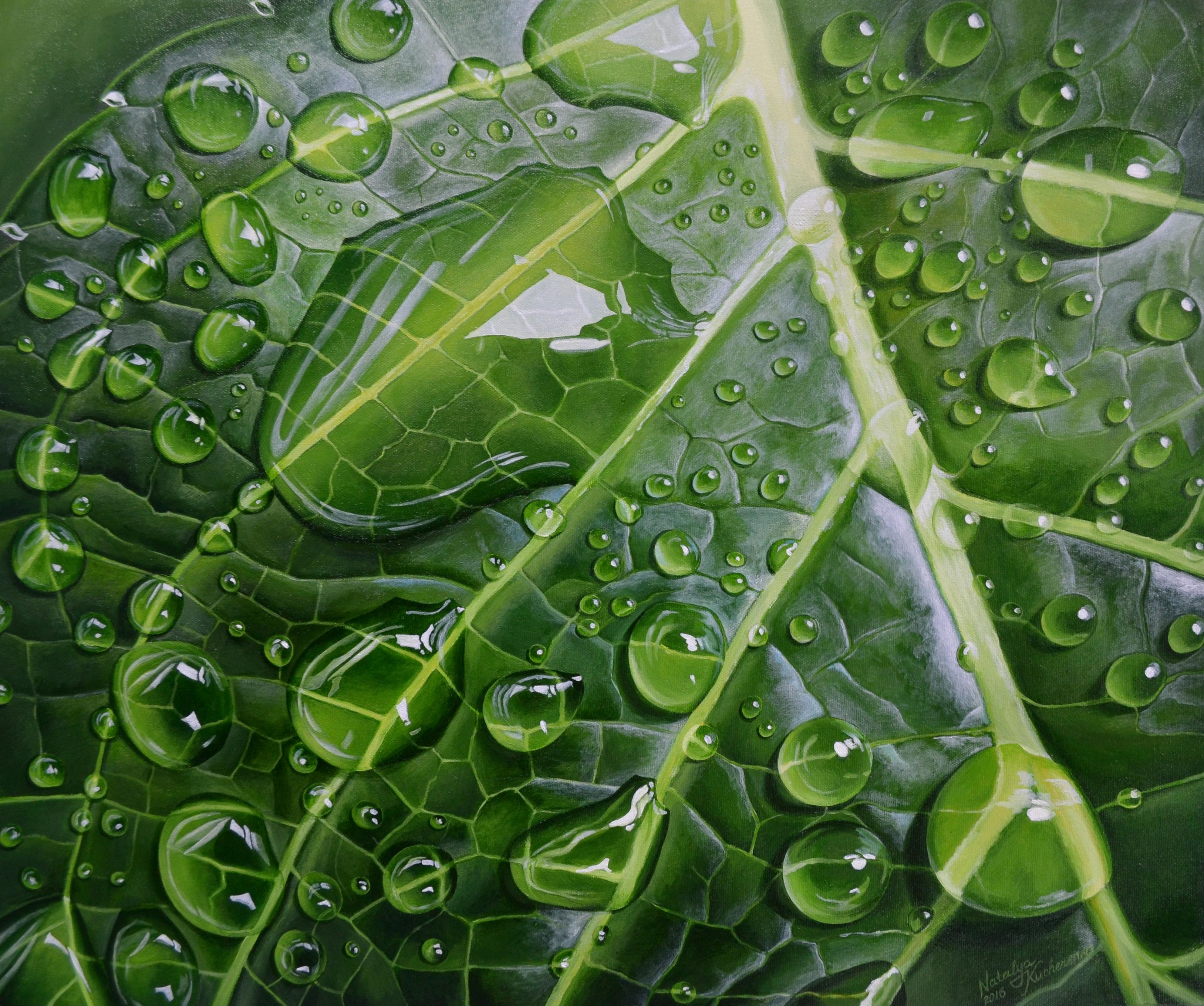 Limitless Go Green 1
