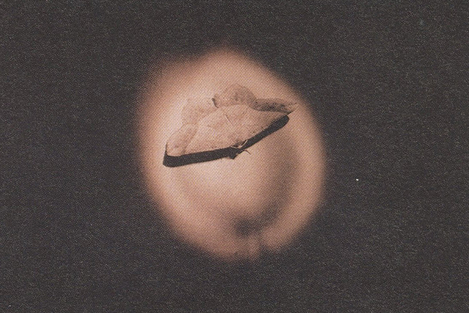 Smith Stephanie ECIAD86 Hedder