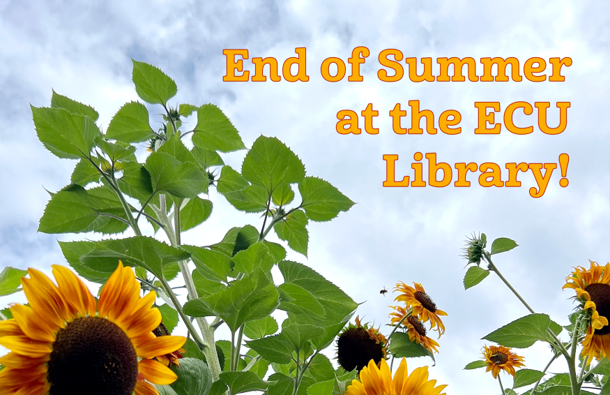 End of summer update
