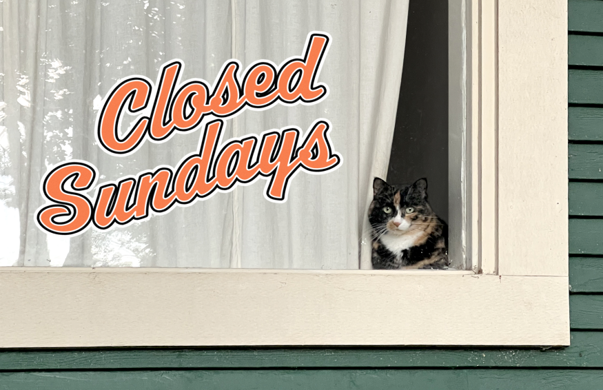 Library sunday closure
