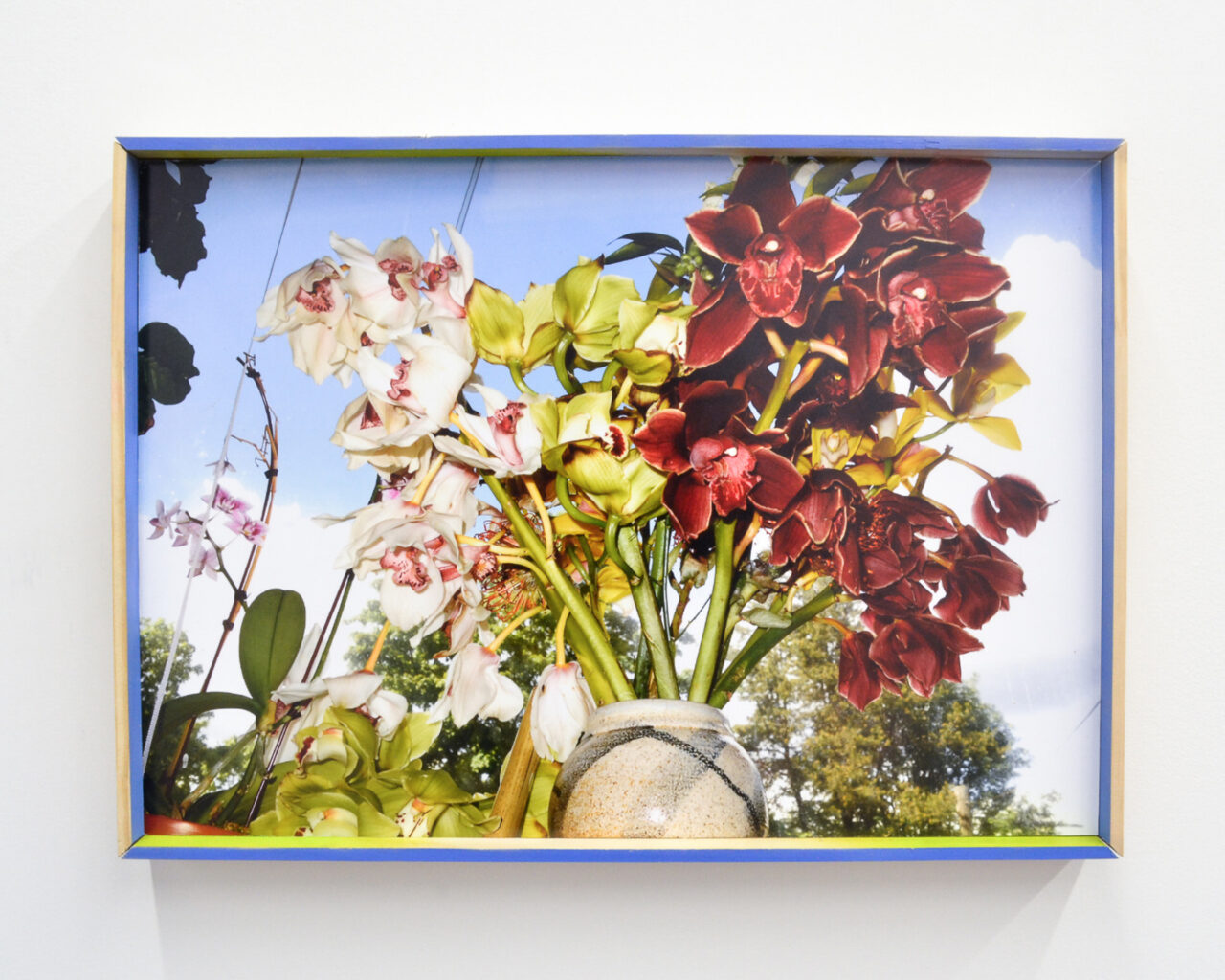 03 HOLMES Flowers For 2019