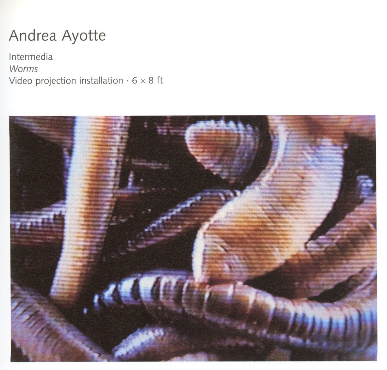 Andrea Ayotte Worms Video projection installation ECIAD 2001 EDIT