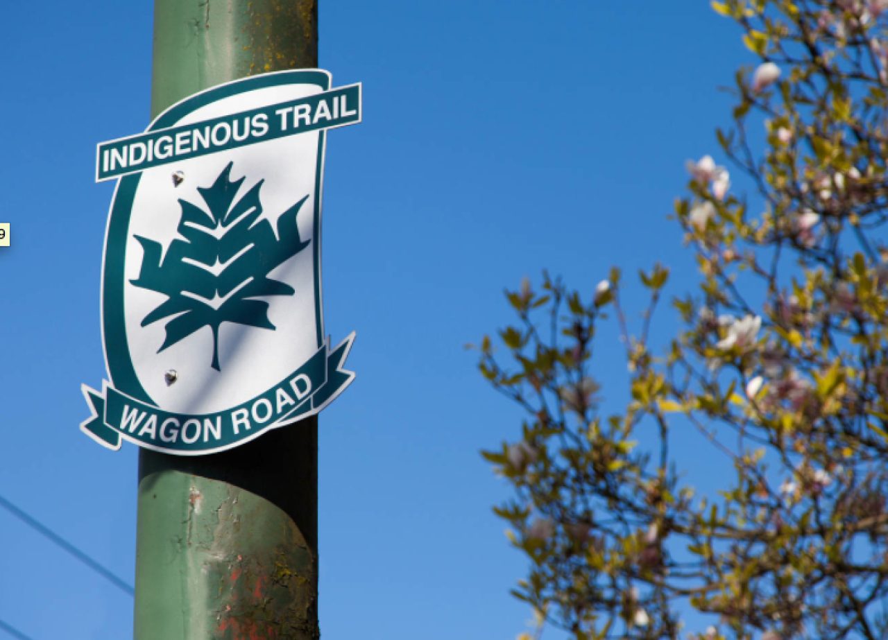Assu Sonny Indigenous Trail Vancouver BC