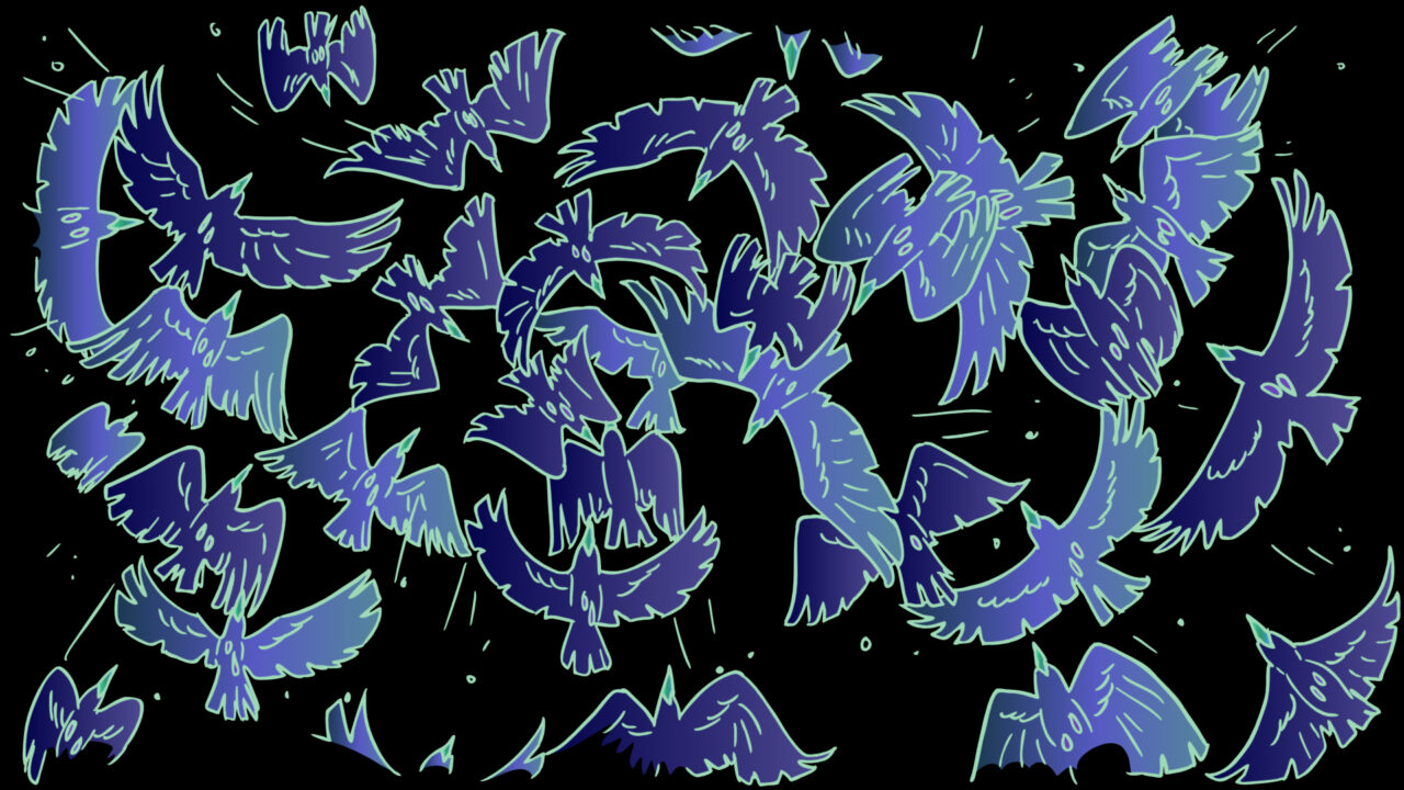 Crow Image 2