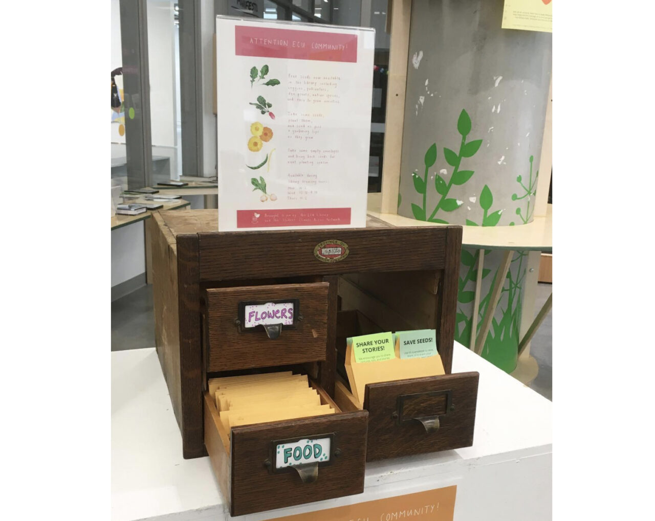 ECU Seed Swap Display 2021 WEB